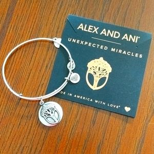 Unexpected miracles Alex and Ani bracelet silver
